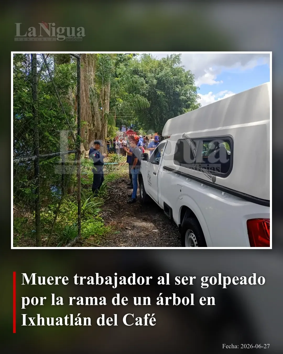 Hombre muere tras ser golpeado por rama durante derribo de árbol en Ixhuatlán del Café