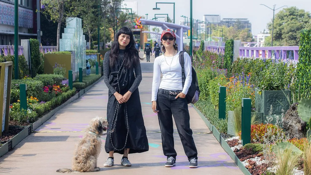 Avanza la recuperación del Skatepark de San Antonio tras movilización vecinal