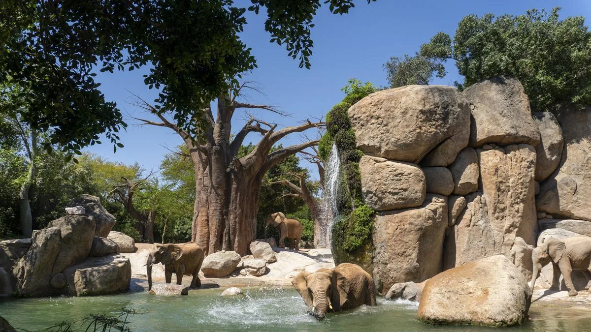 BIOPARC impulsa la conservación y la conexión con la naturaleza frente al cambio climático