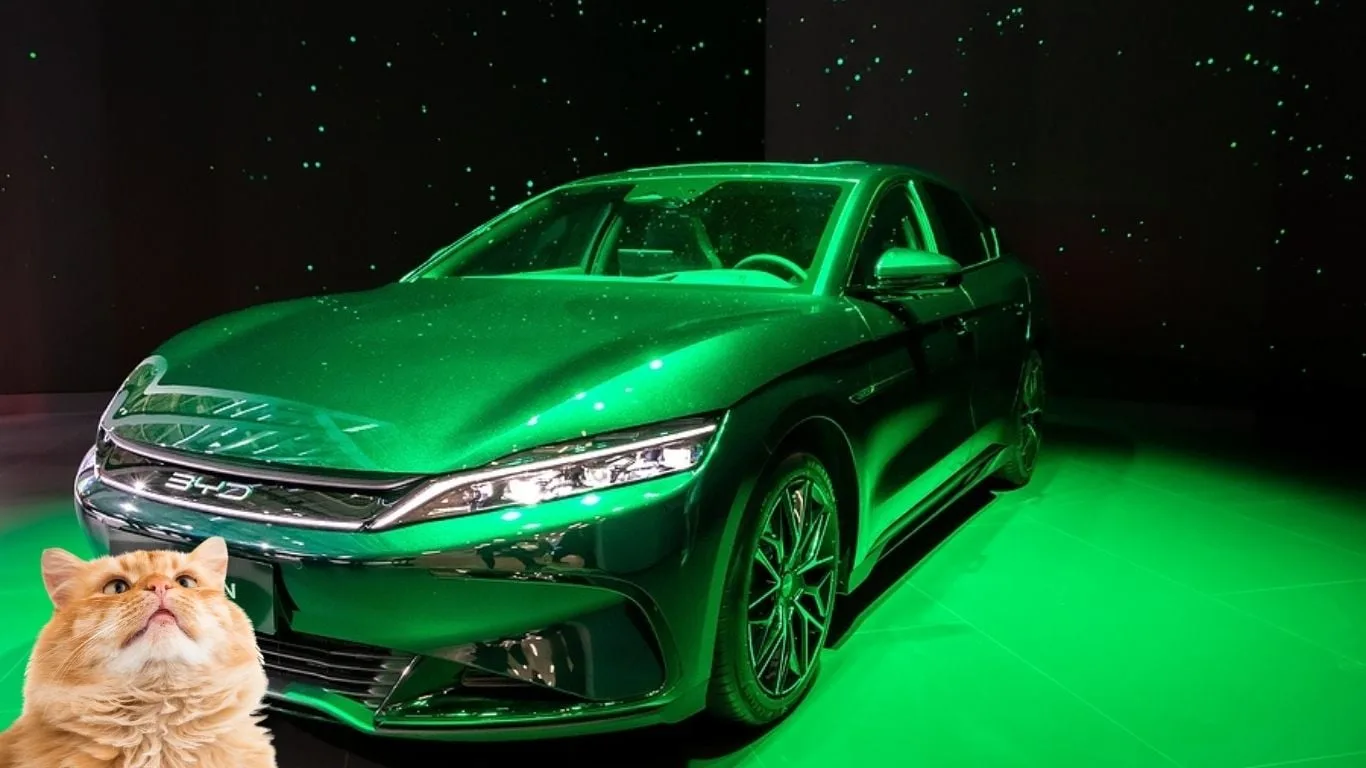 BYD desarrolla IA para detectar animales cerca del auto y prevenir accidentes al encenderlo
