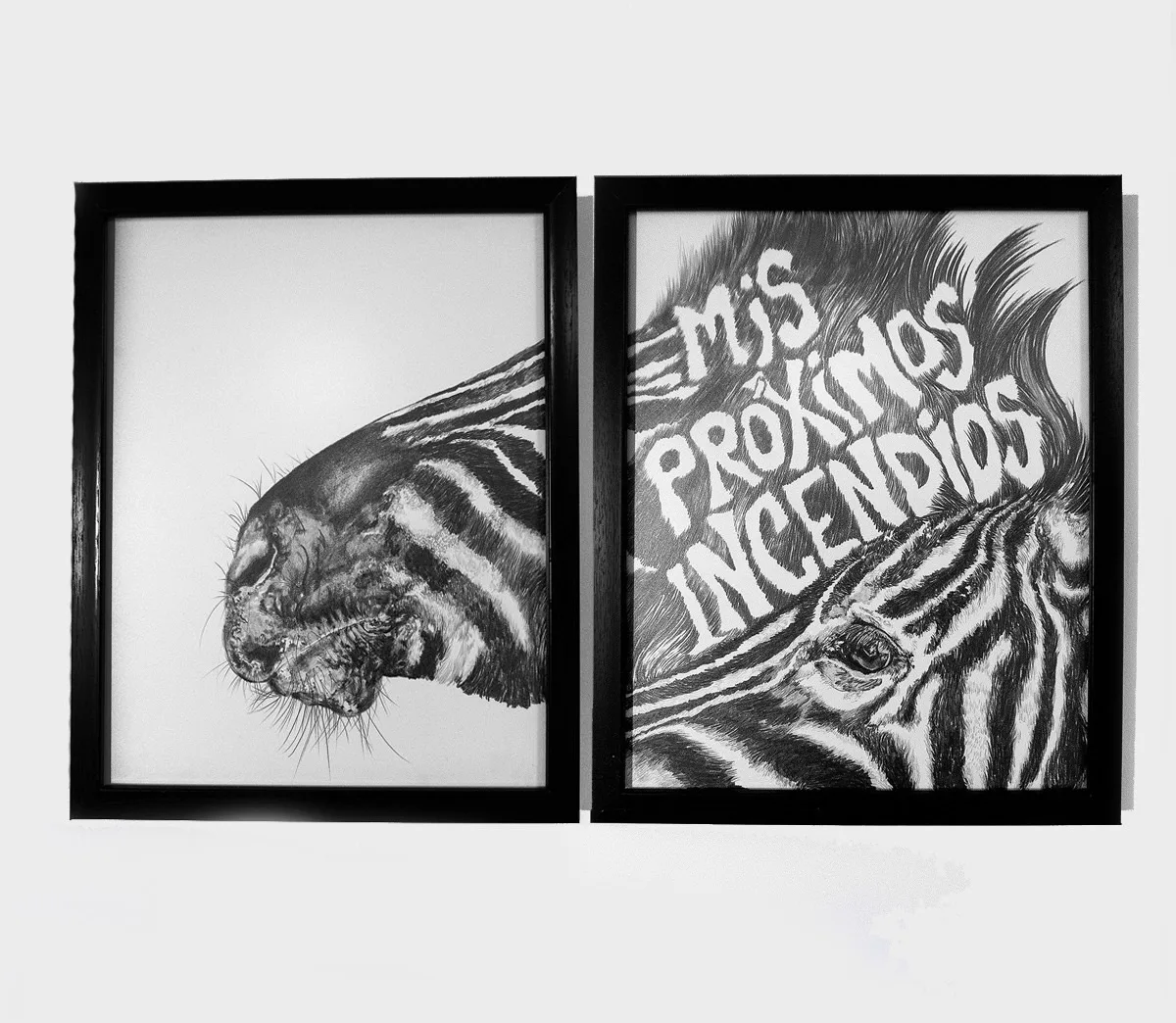 Cachorros de Tigre” reúne más de un siglo de dibujo mexicano en Mérida