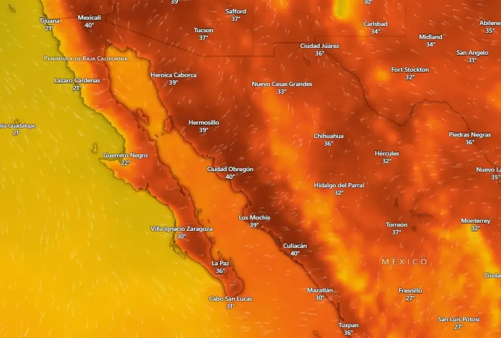 Condiciones de calor y cielo despejado dominan La Paz y Los Cabos este día