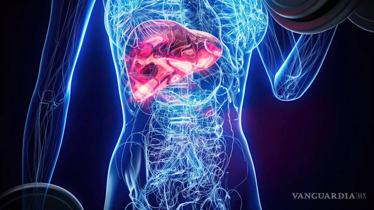 Daraxonrasib revoluciona el tratamiento del cáncer de páncreas y abre nuevas esperanzas para otros tumores