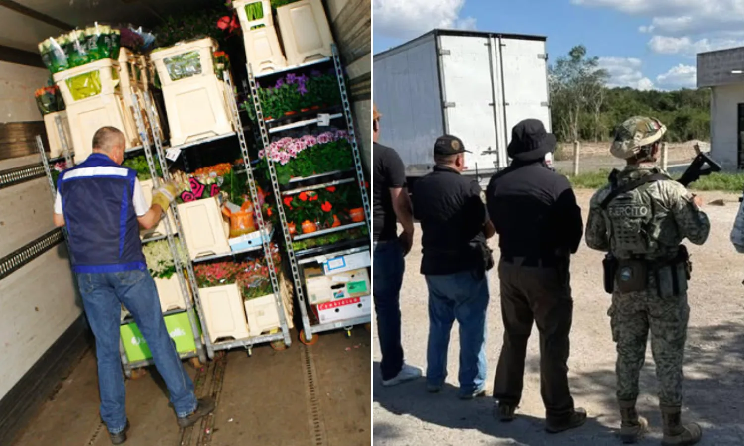 Detienen a dos personas que transportaban clobenzorex oculto entre flores en carretera Mérida-Campeche