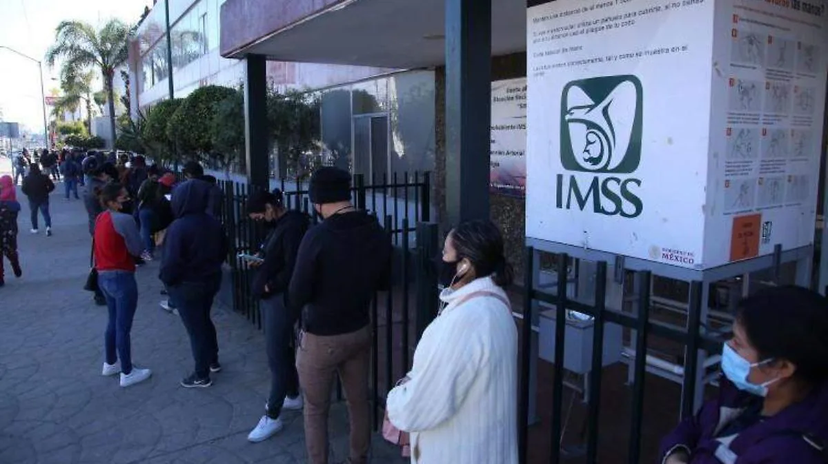 El IMSS debe reforzar sanciones contra el fraude patronal para proteger derechos laborales
