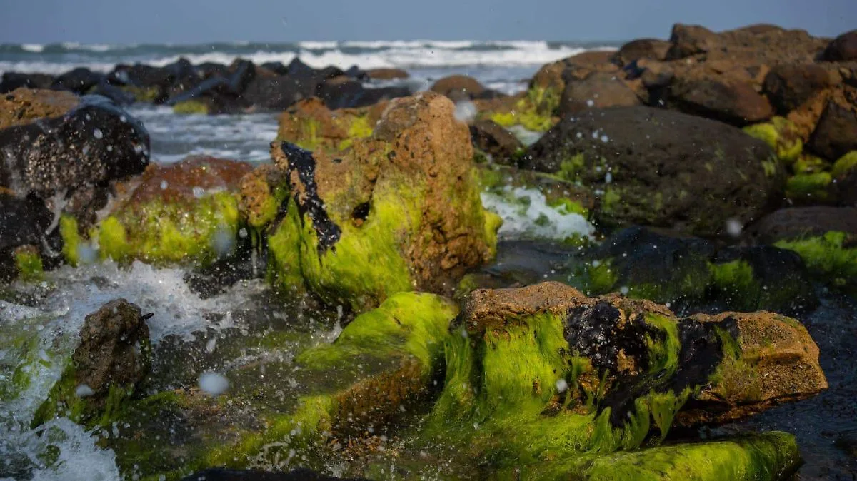 Expansión petrolera en México y EU aumenta riesgos ambientales en el Golfo de México