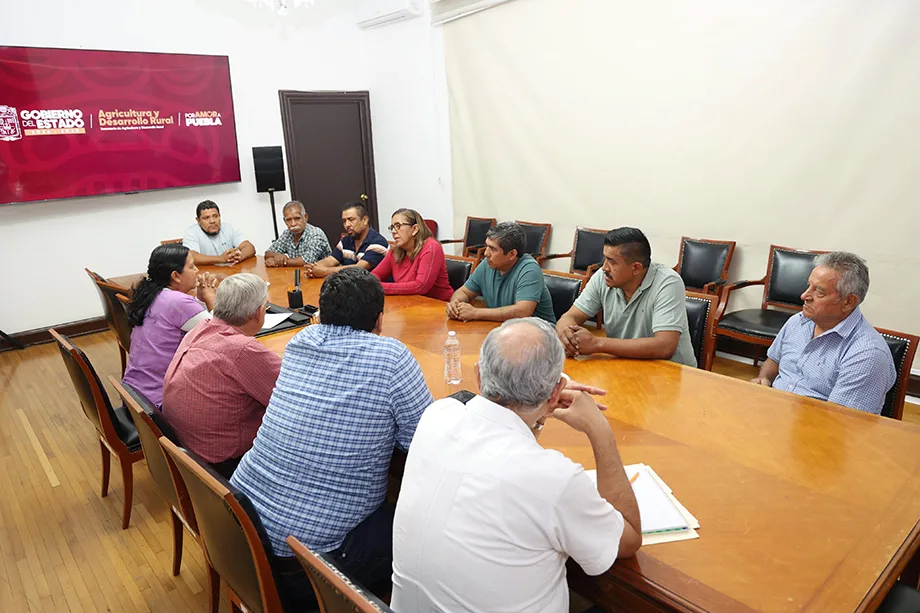 Impulsan producción de sorgo en Tepexco con maquinaria y apoyos agrícolas