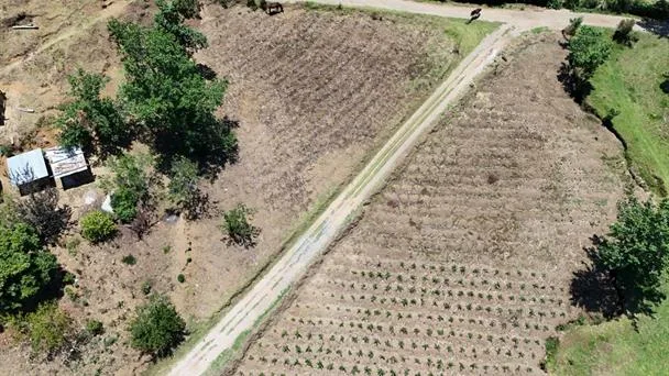 La amenaza de El Niño agrava la crisis alimentaria en una comunidad indígena de Guatemala