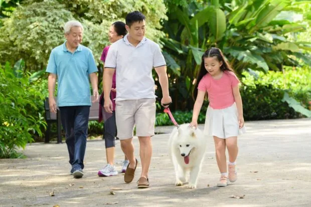 La prevención antiparasitaria es esencial para la salud de mascotas y familias, revela encuesta