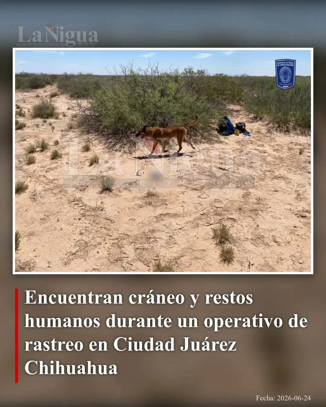 Localizan restos humanos durante operativo de búsqueda en Ciudad Juárez, Chihuahua