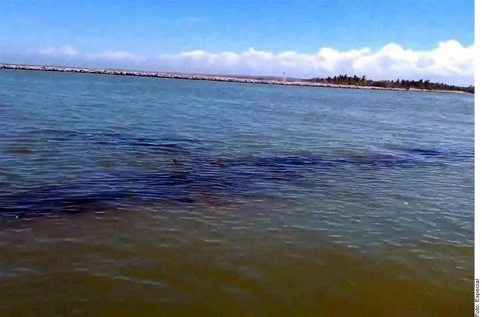 Marina detecta mancha de hidrocarburos en el Río Pánuco y refuerza acciones ambientales