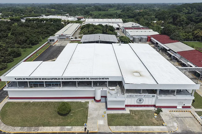 México y EE. UU. inauguran planta para combatir el gusano barrenador con moscas estériles