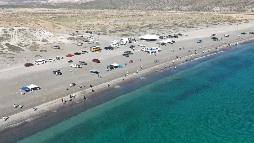PescaFest 2026 reúne a más de 380 pescadores en Playa El Coyote, Baja California Sur