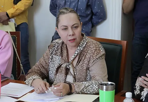 Proponen reformar ley para garantizar derechos sexuales y acompañamiento en muertes neonatales