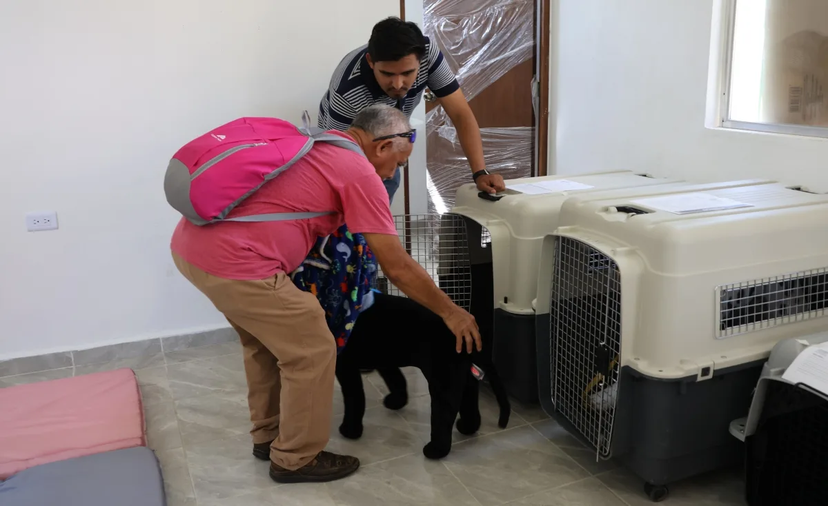 Simulacro en Mérida prueba desalojo y refugio para mascotas ante huracán