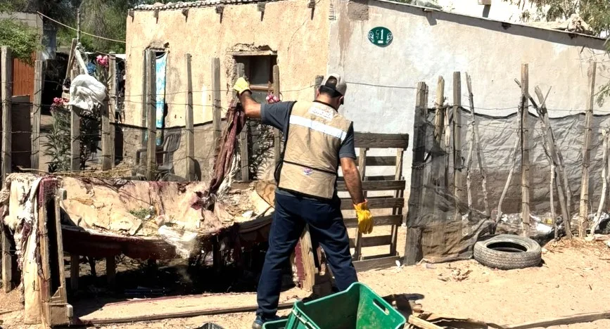 Sonora reduce más de un millón de criaderos de mosquitos para combatir el dengue