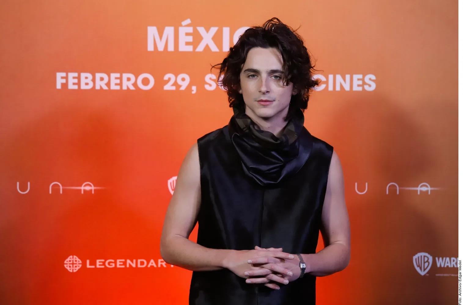 Timothée Chalamet y Selena Gomez protagonizan nueva película animada de Illumination
