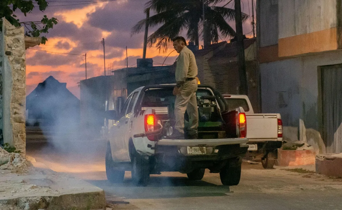 Yucatán mantiene control del dengue sin reportar muertes en lo que va de 2026