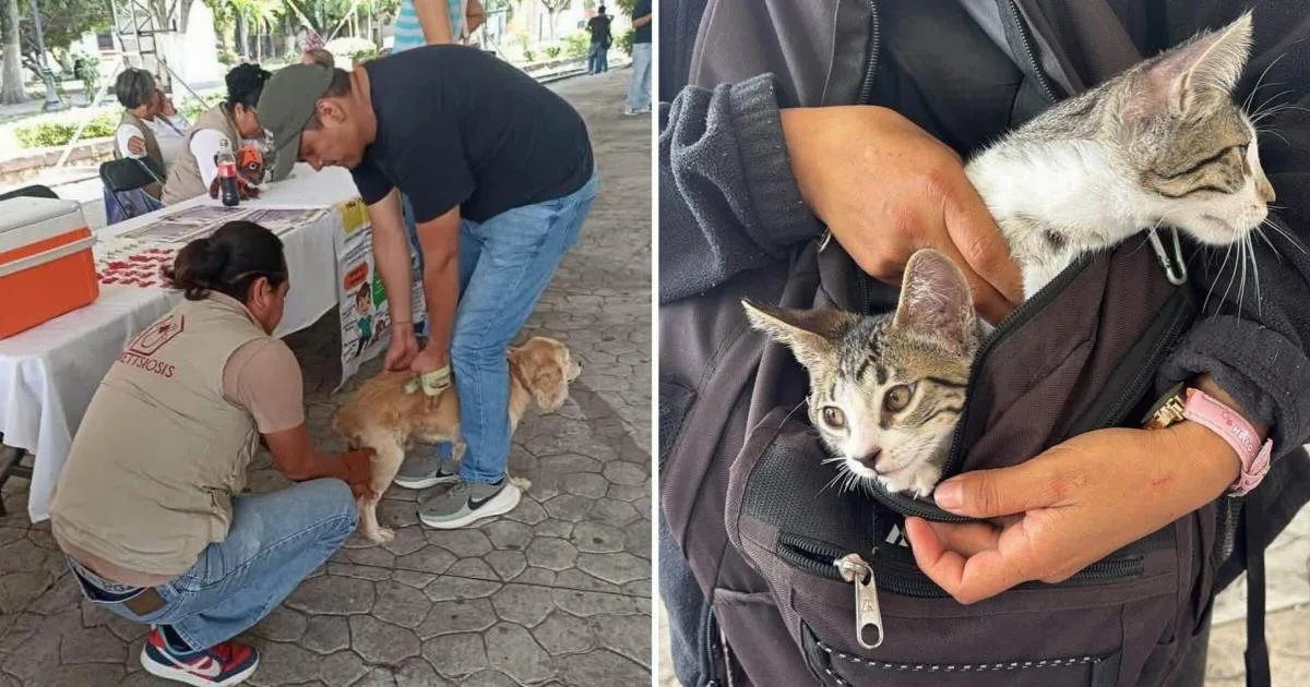 Cuautla impulsa la prevención de enfermedades zoonóticas con feria de salud para mascotas