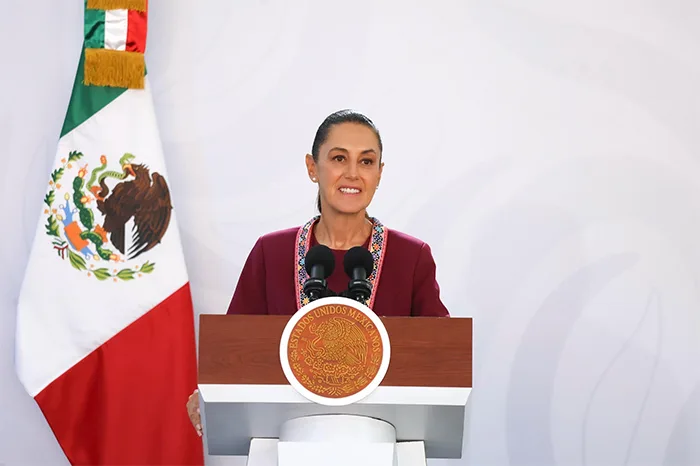 Detención de Gilda Lozoya se basa en investigaciones sobre fraude de Agronitrogenados