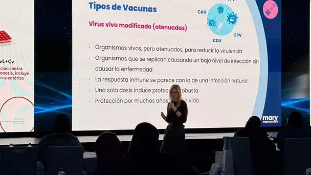 Especialistas advierten sobre incumplimiento en esquemas de vacunación para mascotas
