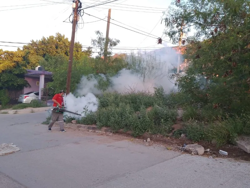 Guaymas se posiciona como el segundo municipio con más casos de dengue en Sonora