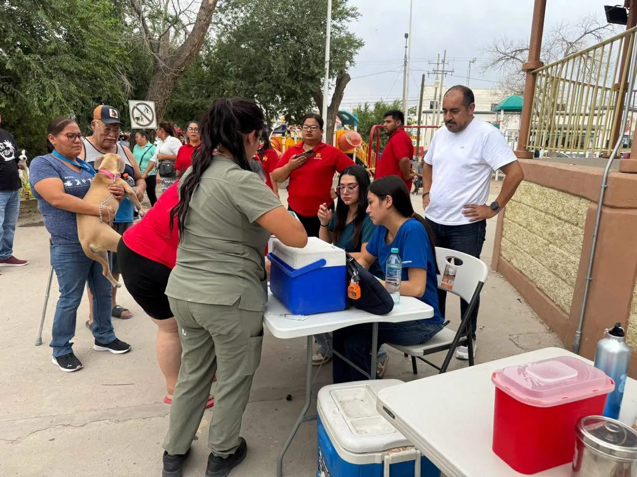 Inicia registro digital para esterilización gratuita de mascotas en colonias de Ciudad Juárez