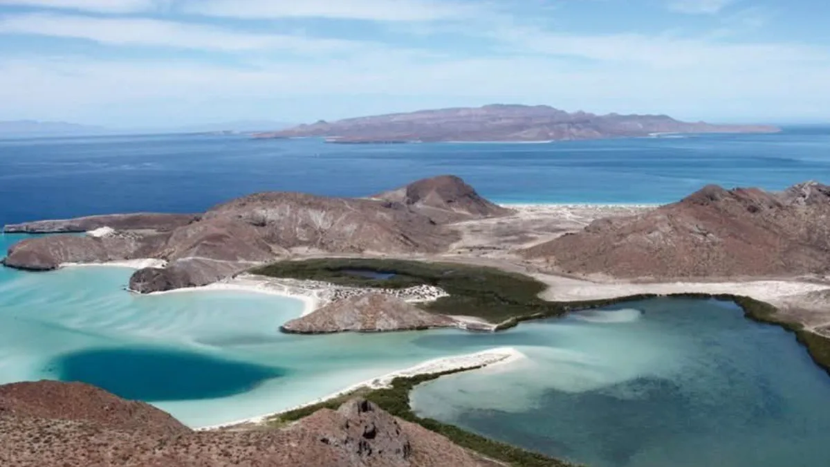 Las Islas y Áreas Protegidas del Golfo de California cumplen 20 años como Patrimonio Mundial
