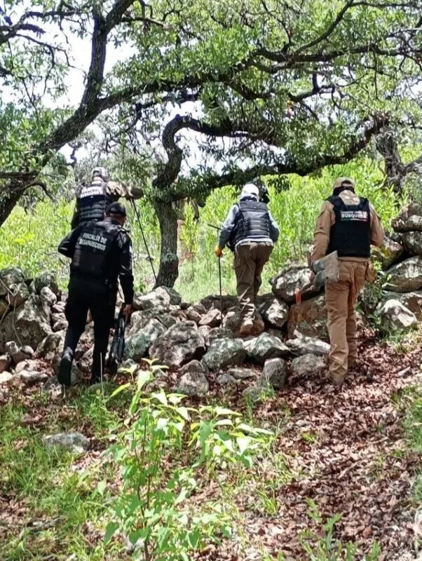 Localizan restos óseos durante operativo forense en zona serrana de Tabasco, Zacatecas