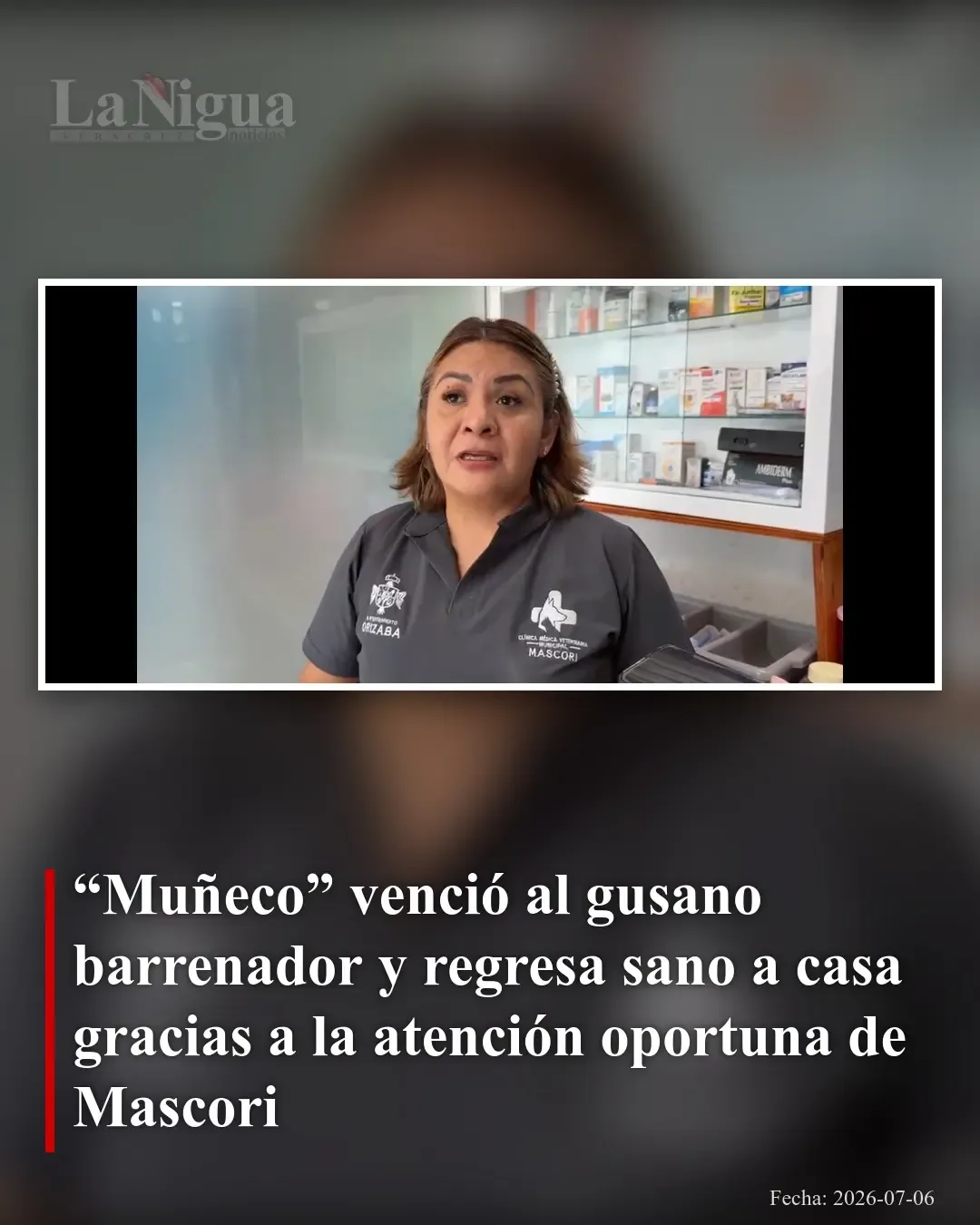 Muñeco, el perro que venció al gusano barrenador tras tratamiento gratuito en Mascori