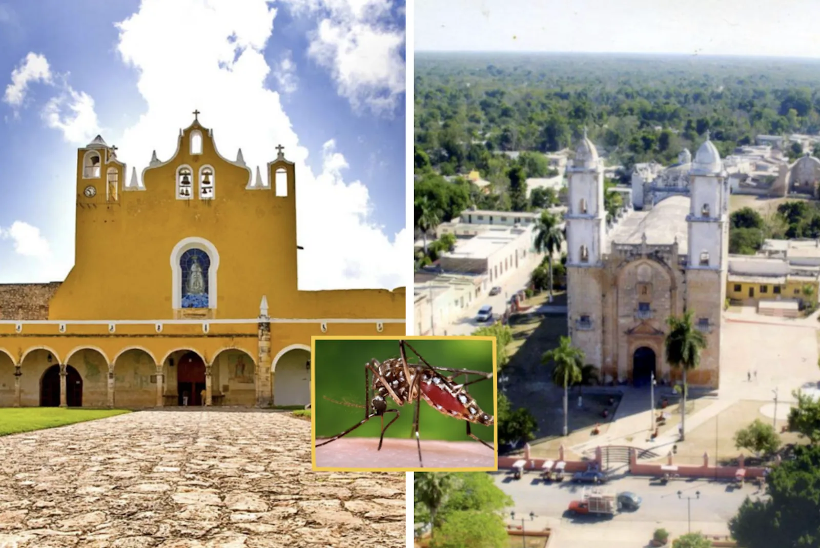 Primeros casos de dengue con signos de alarma en Peto e Izamal durante 2026