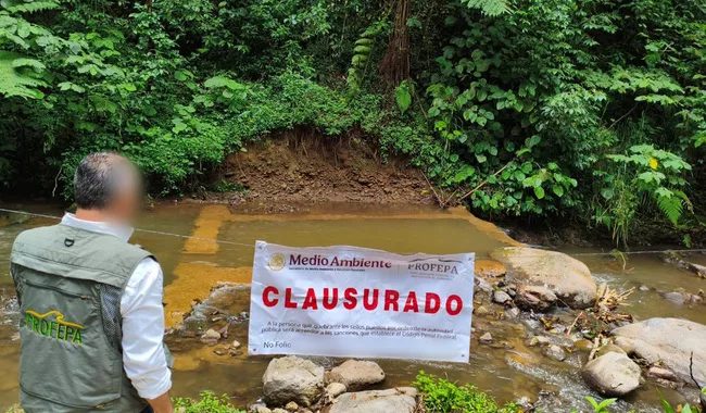 Profepa suspende construcción ilegal de presa en arroyo de Xico, Veracruz