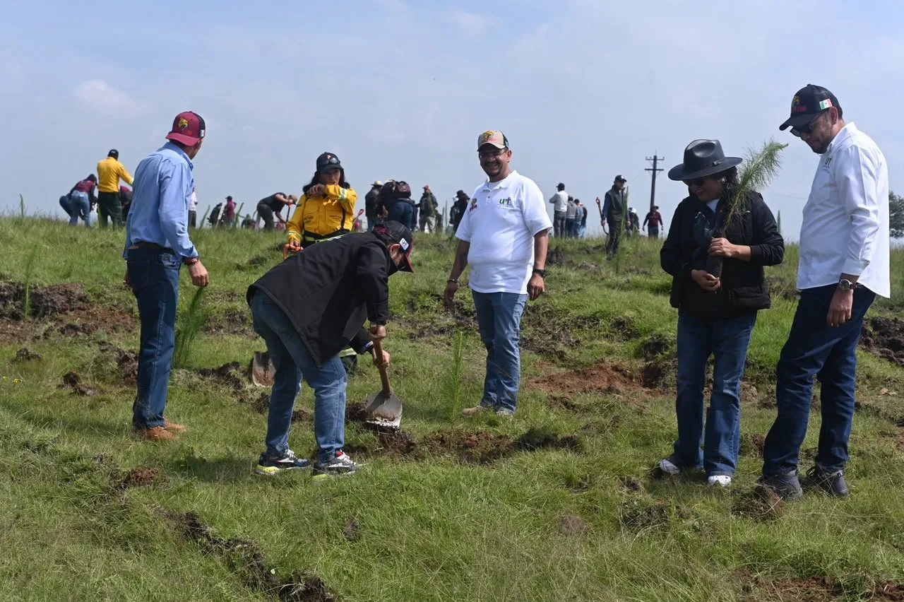 Toluca impulsa restauración ambiental con plantación y ciencia colaborativa