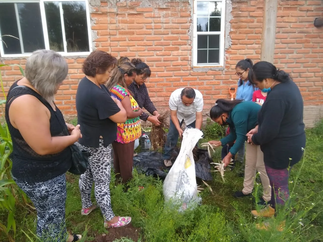 UACH impulsa la composta doméstica para transformar residuos orgánicos en abono natural
