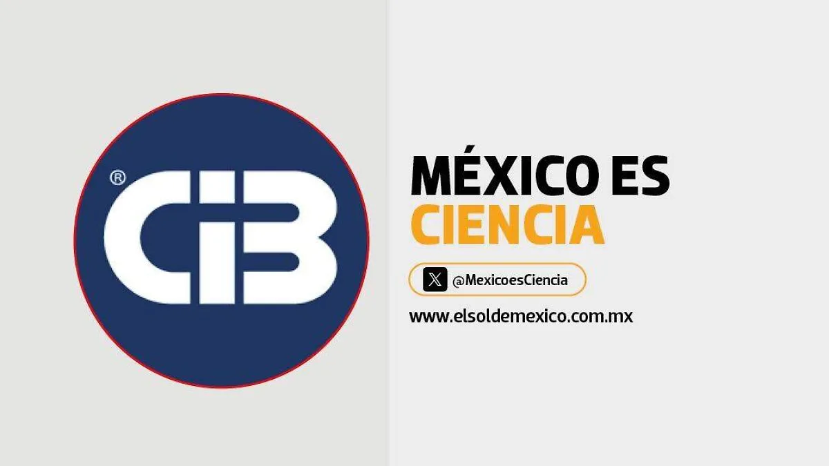 Uso de nanosilicio impulsa la resistencia de cultivos frente al estrés hídrico