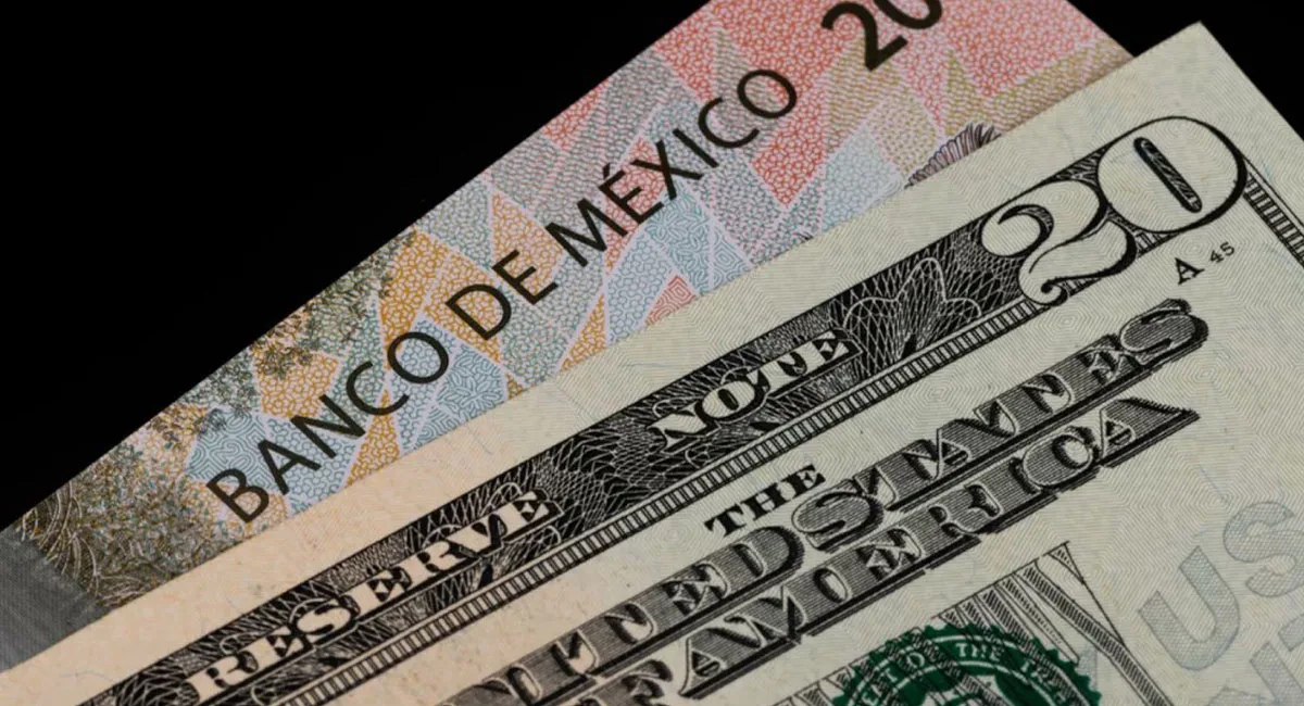 Variaciones al alza moderada en el tipo de cambio del dólar frente al peso mexicano